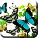 Logo of Butterflies in summer android Application 